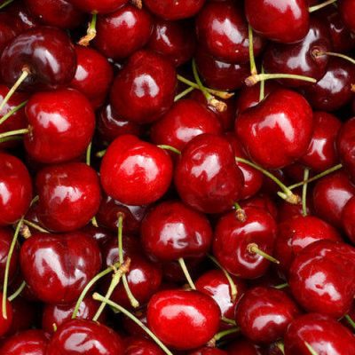 red-cherry-500x500